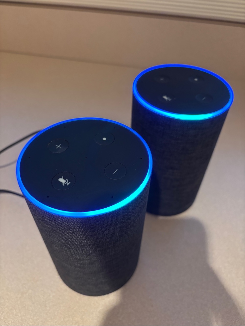 Amazon Echo Smart Voice Speaker Pair (2) Charcoal Gray with Tested Power Cords